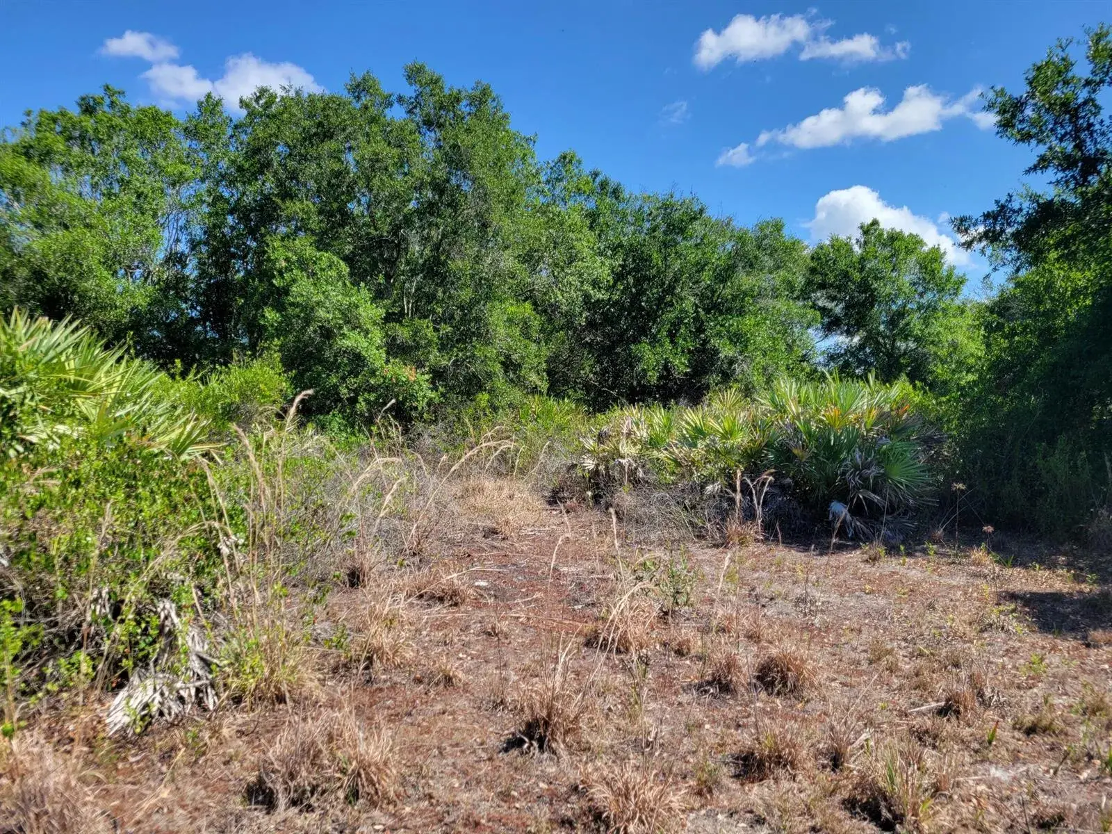 Land/Boat Docks for sale at 17591 NW 280TH Street, Okeechobee FL 34972