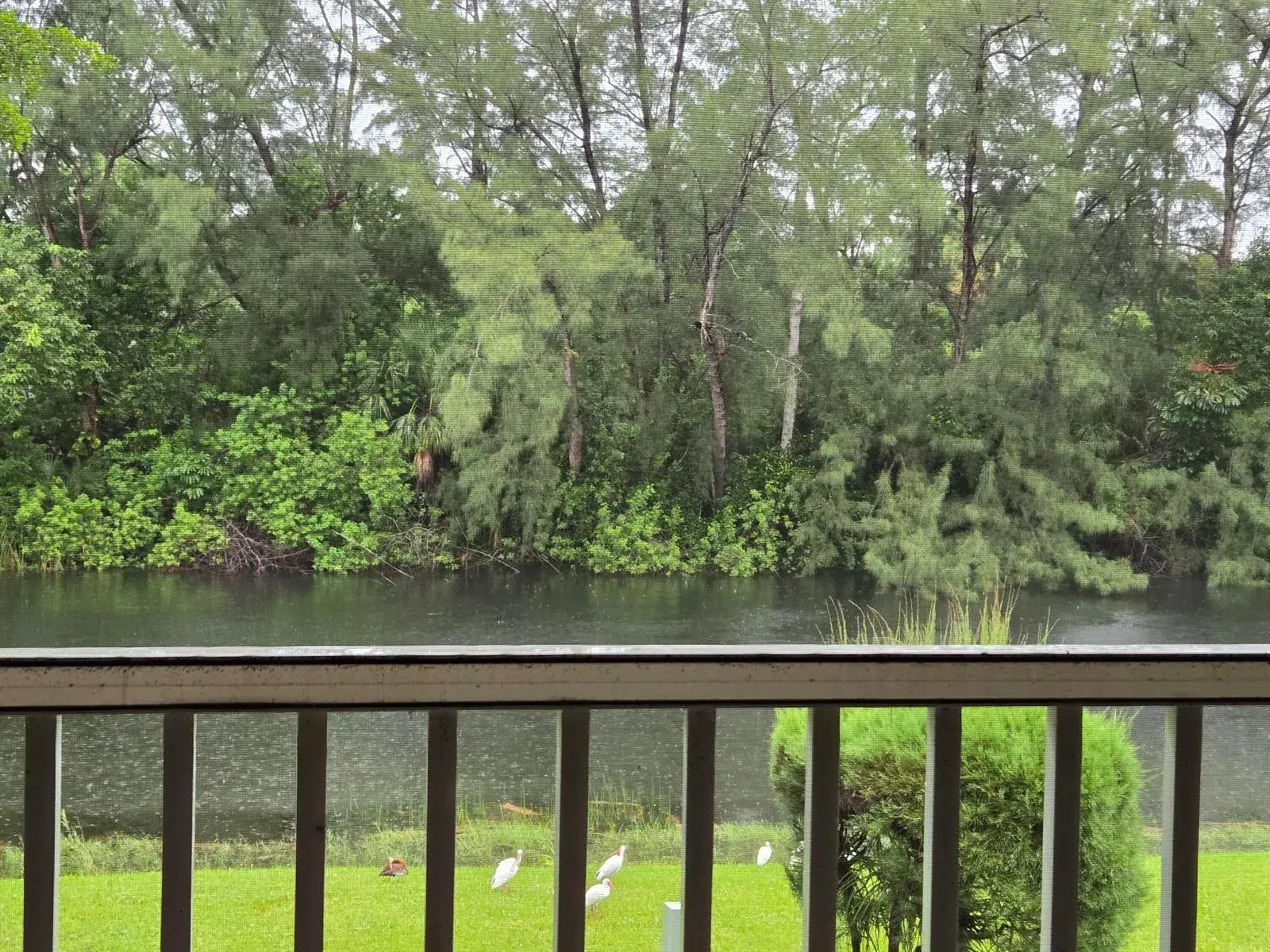 1 bedroom 1 bath Residential for sale at 130 Lake Meryl Drive, West Palm Beach FL 33411