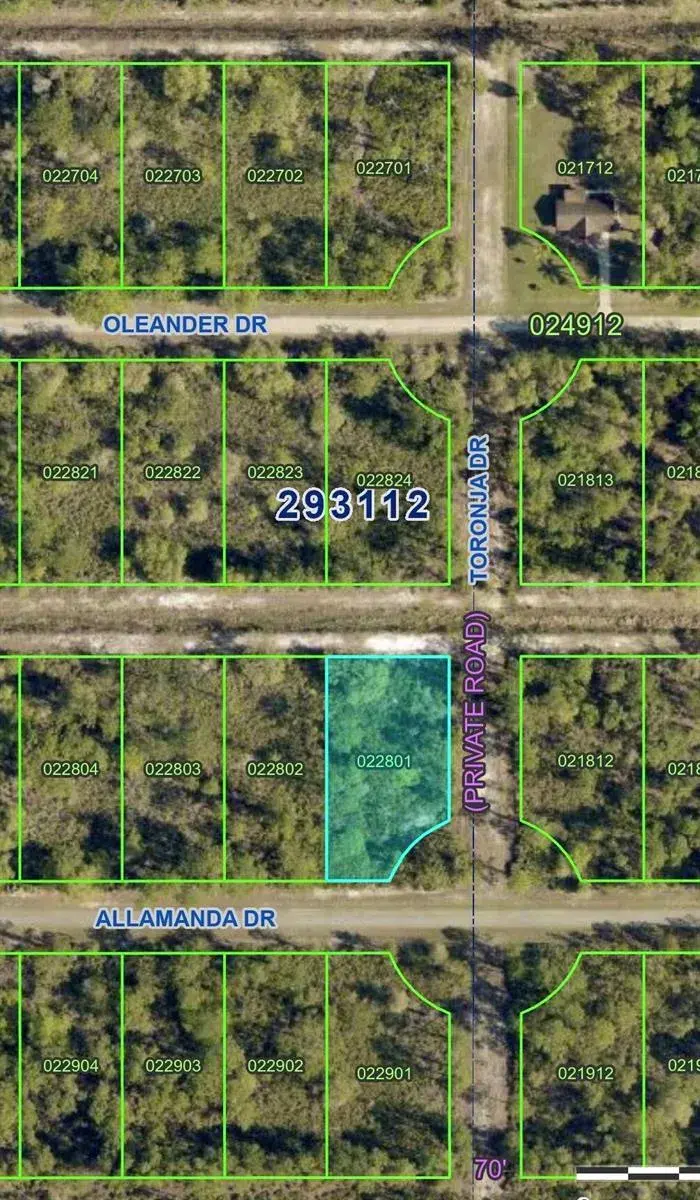 Commercial Land for sale at 0 ALLAMANDA Drive, FL 33855