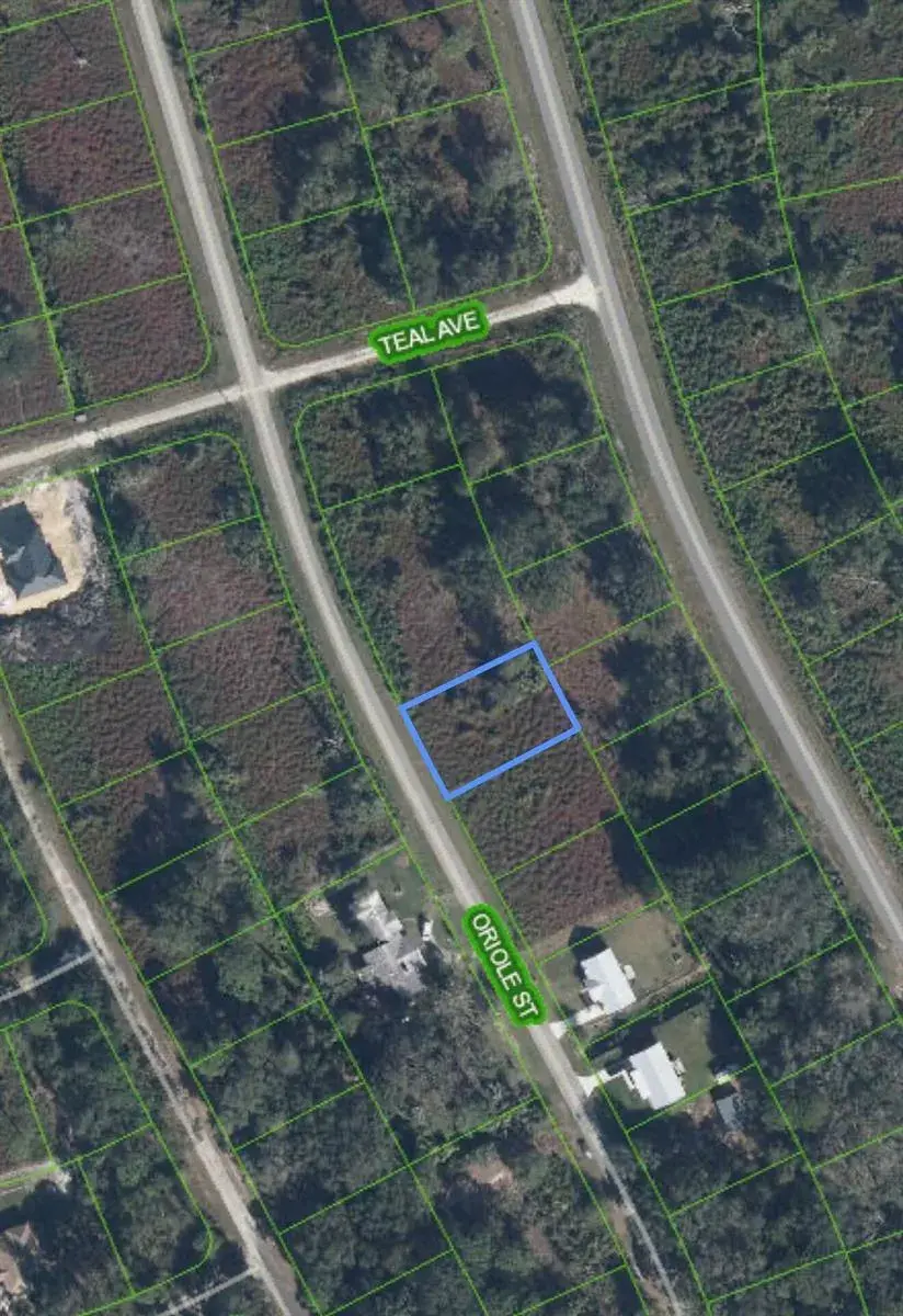 Commercial Land for sale at 1027 ORIOLE Street, Lake Placid FL 33852