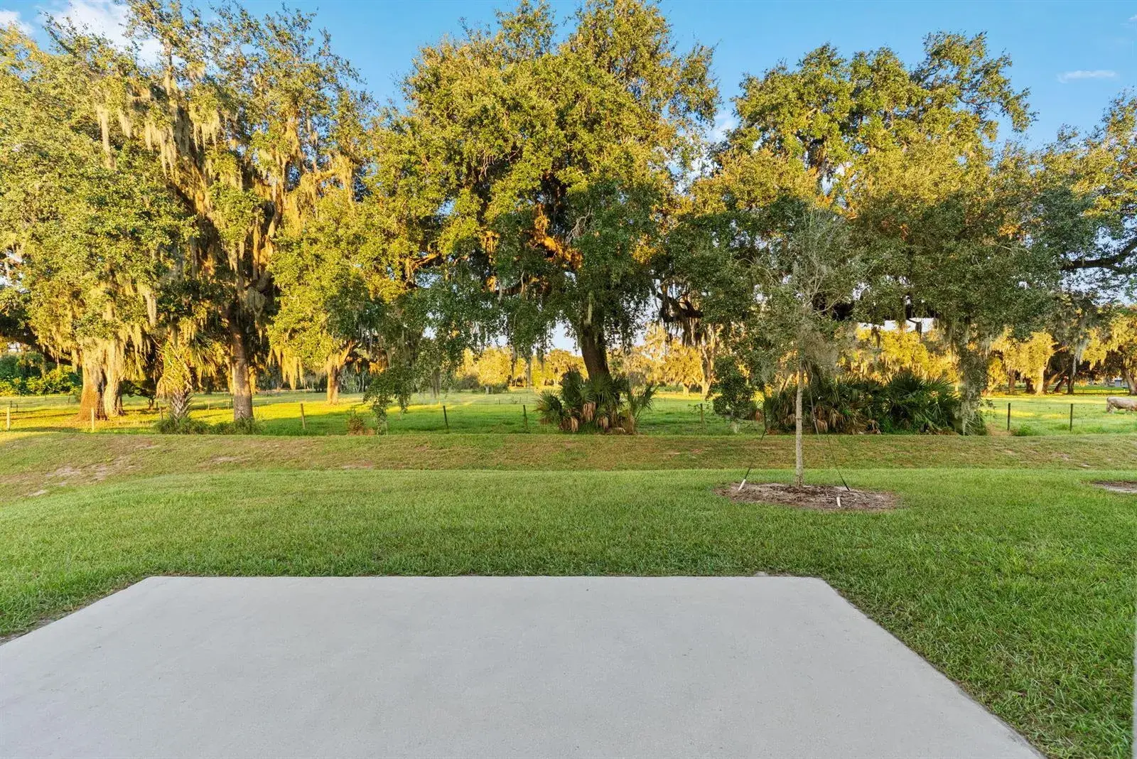 3970 COLLEGIATE Boulevard, Lakeland FL 33803