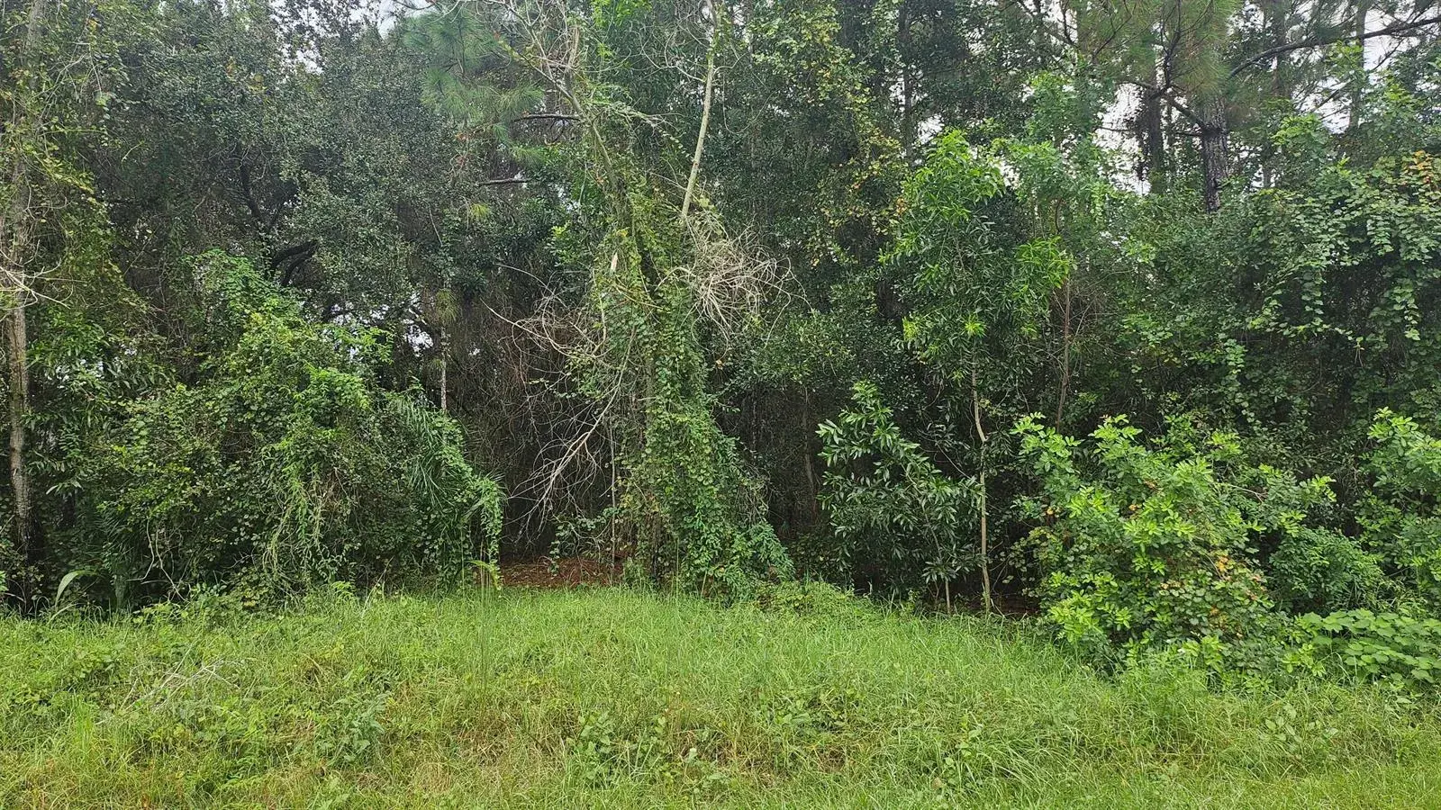 Commercial Land for sale at 5439 NW Thyer Circle, Port St. Lucie FL 34983