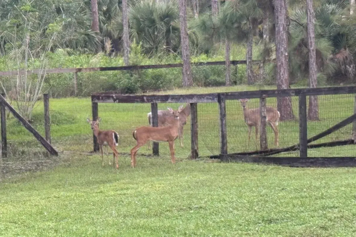 5637 COUGARS PROWL, Lake Worth FL 33449