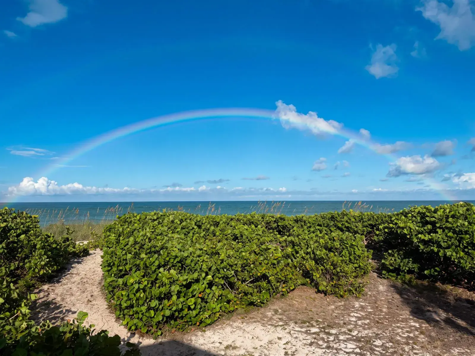 1 bedroom 1 bath Residential for sale at 12356 HIGHWAY A1A Highway, Vero Beach FL 32963