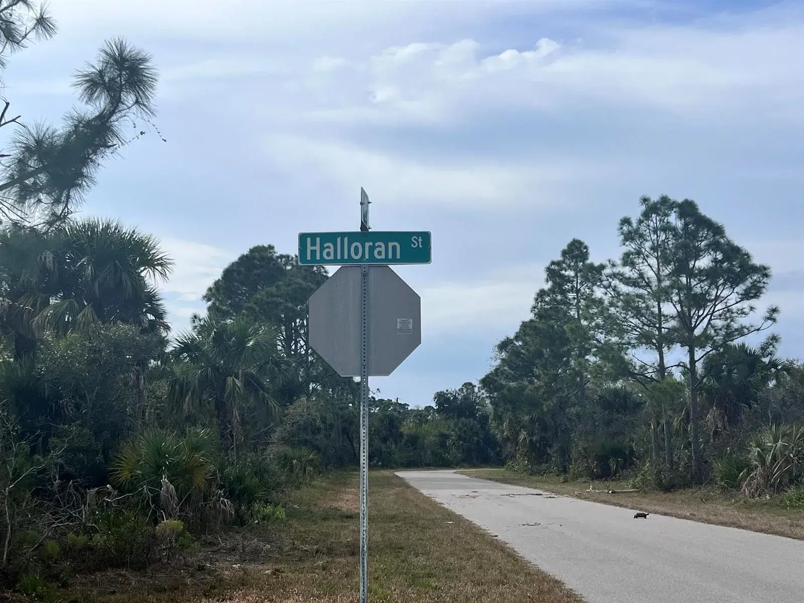310 Halloran Street, Port Charlotte FL 33953