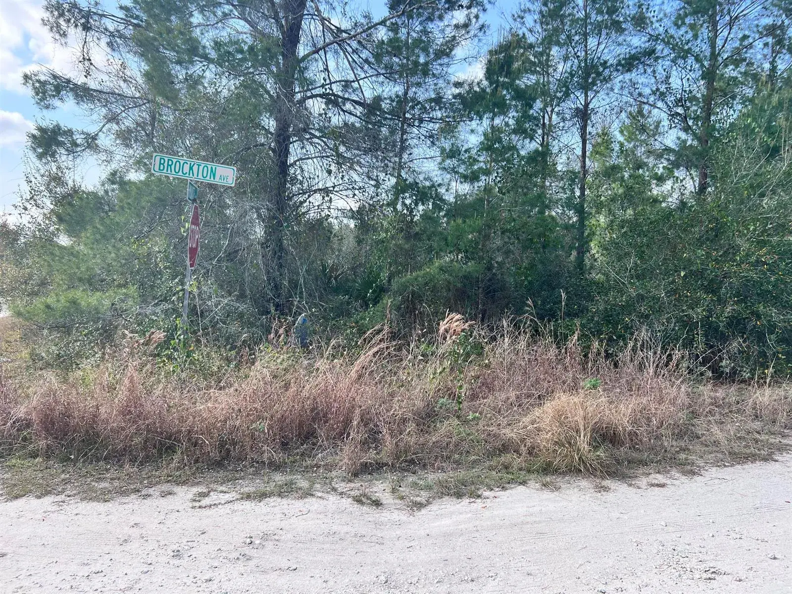 Commercial Land for sale at 4847 Brockton Avenue, Sebring FL 33875