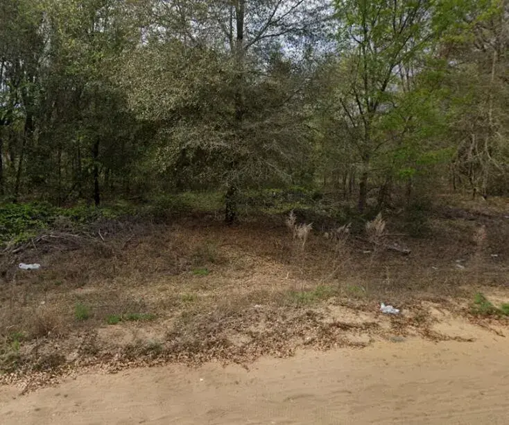 00 N Helmers Avenue, FL 32148