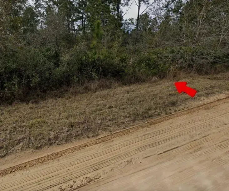 003 Creager Avenue, FL 32148