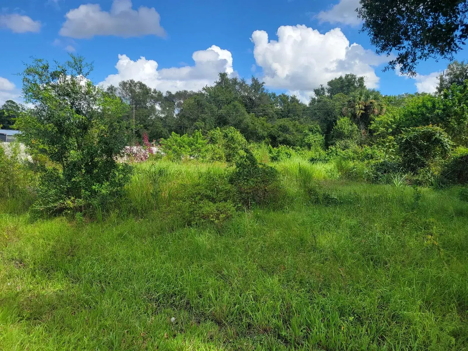 3420 NW 34TH Avenue, Okeechobee FL 34972