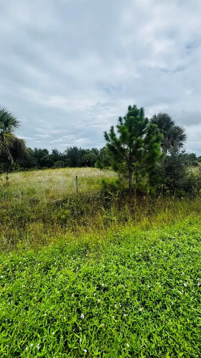 17011 NW 304th Street, Okeechobee FL 34972