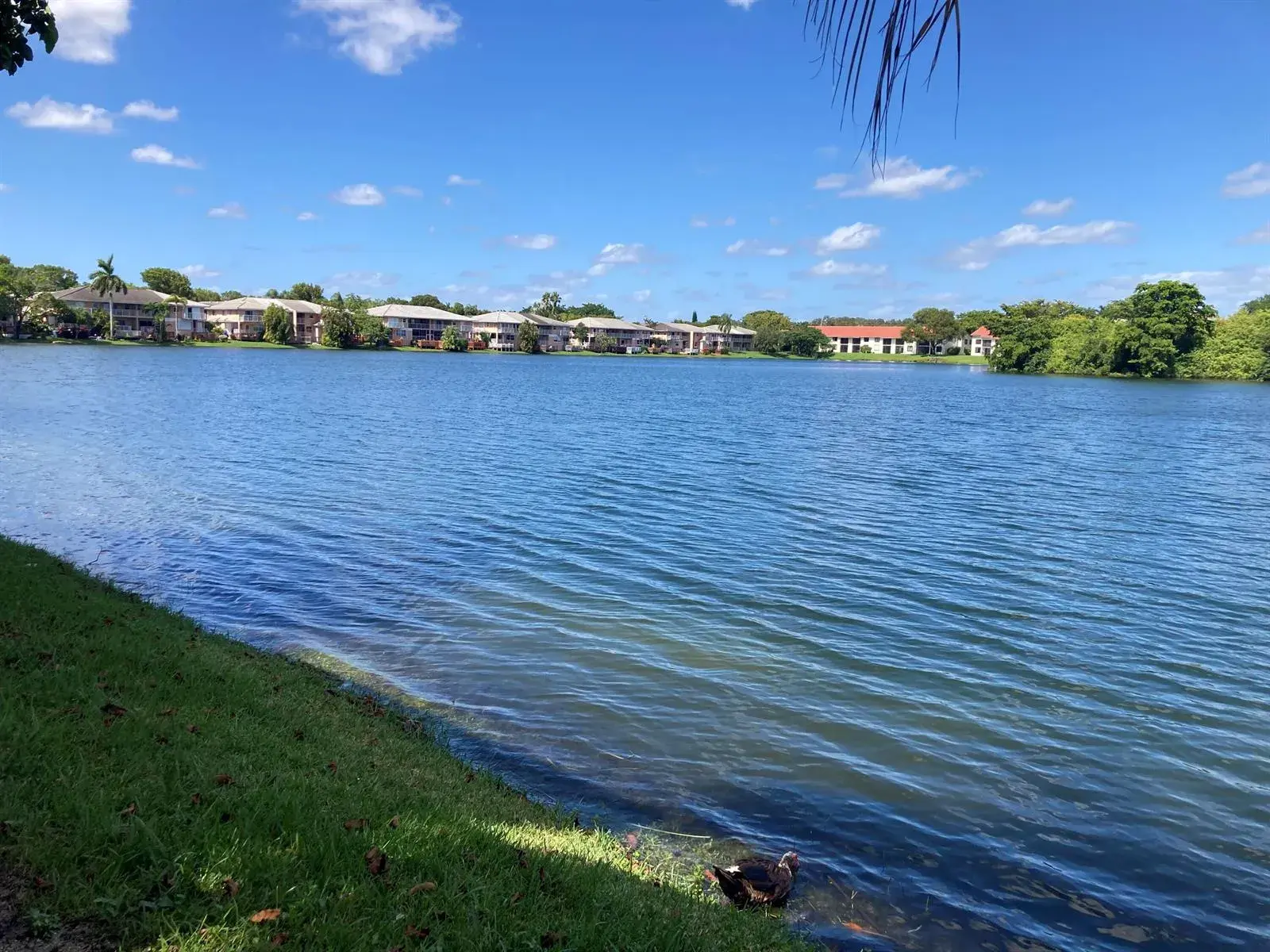 3243 NW 44TH Street # 1, Oakland Park FL 33309