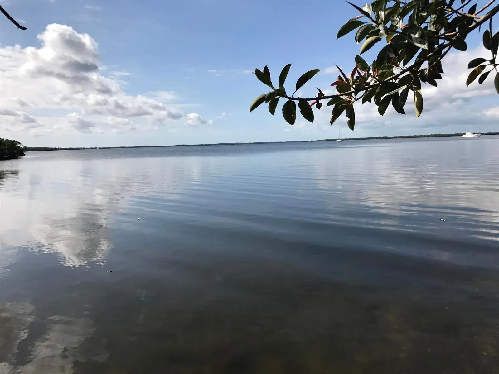 4195 PINE ISLAND Road NW, FL 33993