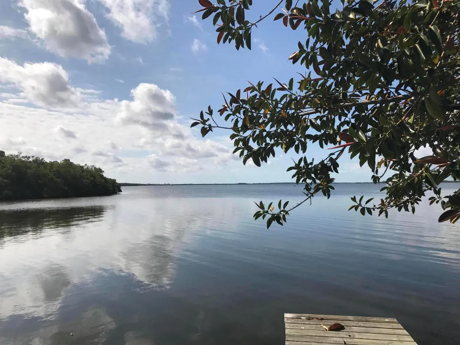 4195 PINE ISLAND Road NW, FL 33993