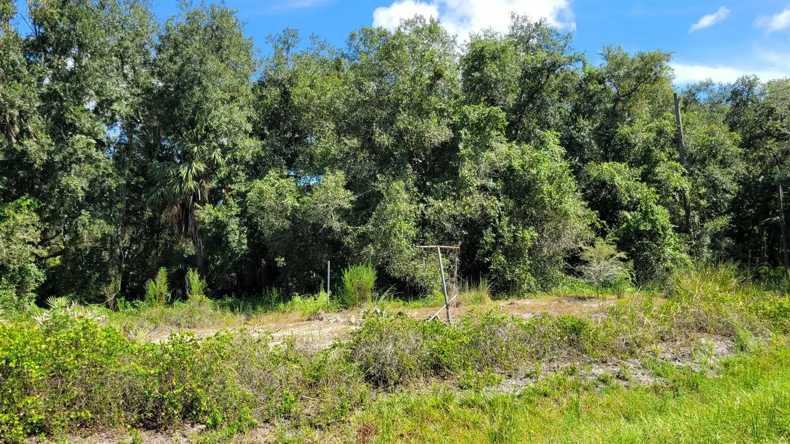 Commercial Land for sale at 21439 NW 254TH Street, Okeechobee FL 34972