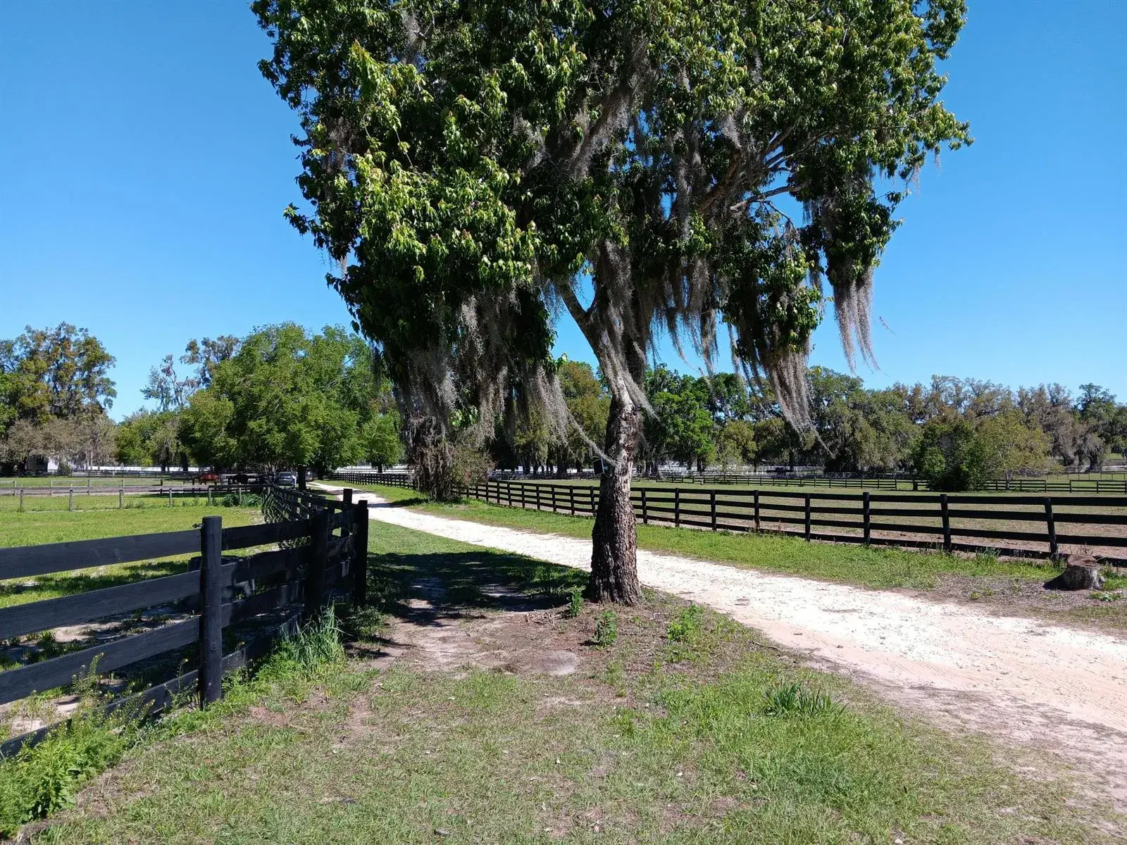2630 NW 140th Street, FL 32113