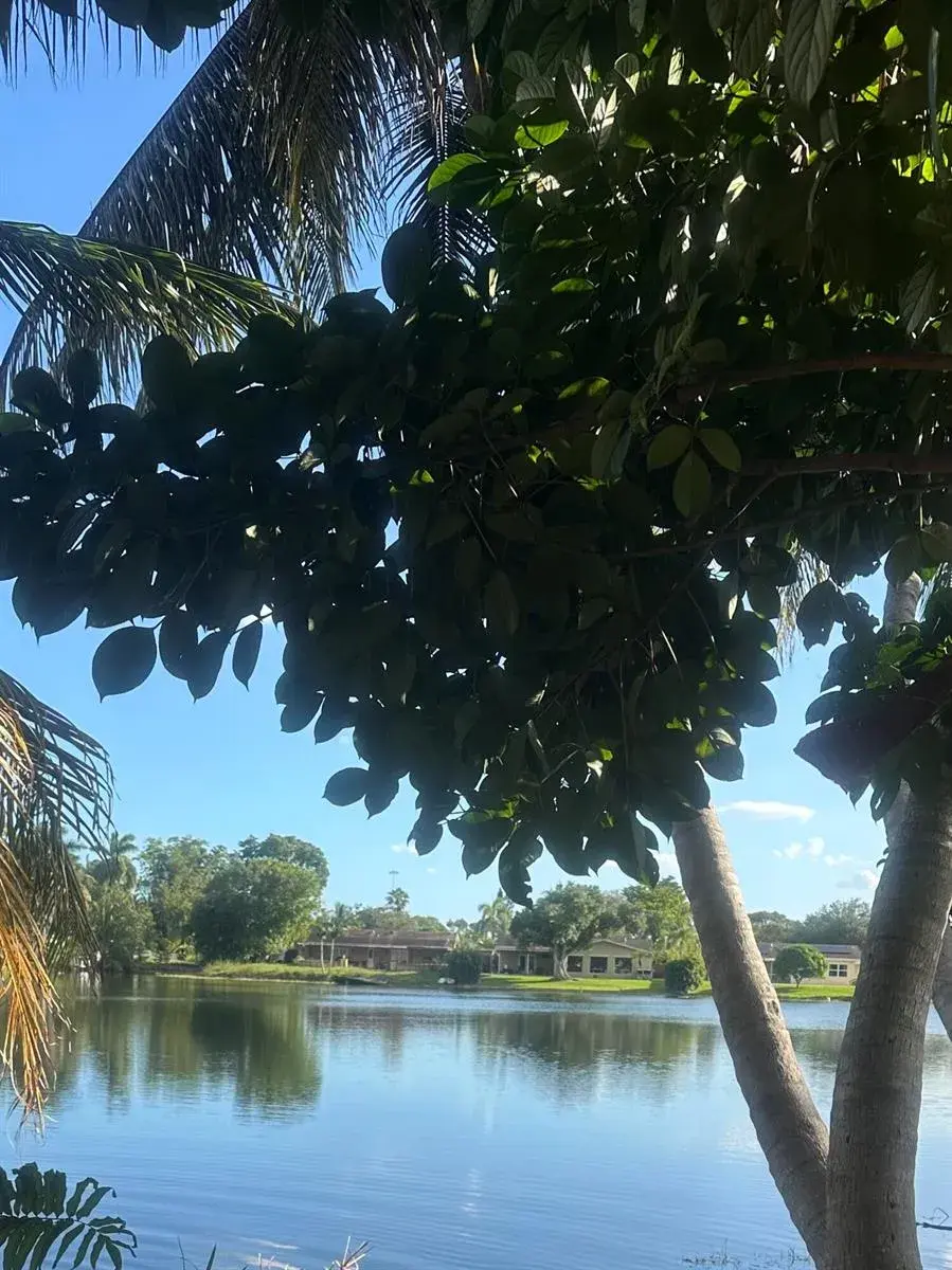 4 bedroom 2 bath Residential for sale at 551 NW 99TH Way, Pembroke Pines FL 33024