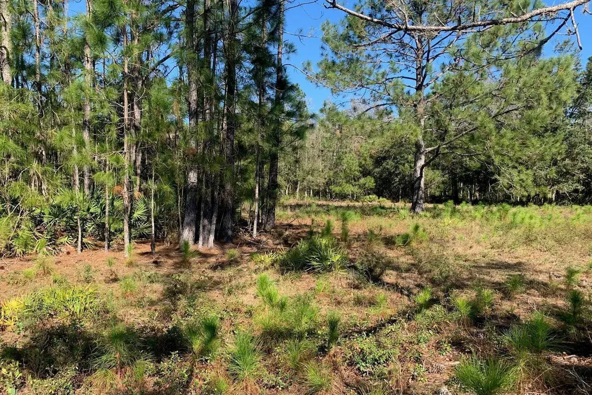 0 Poyner Road, FL 33868