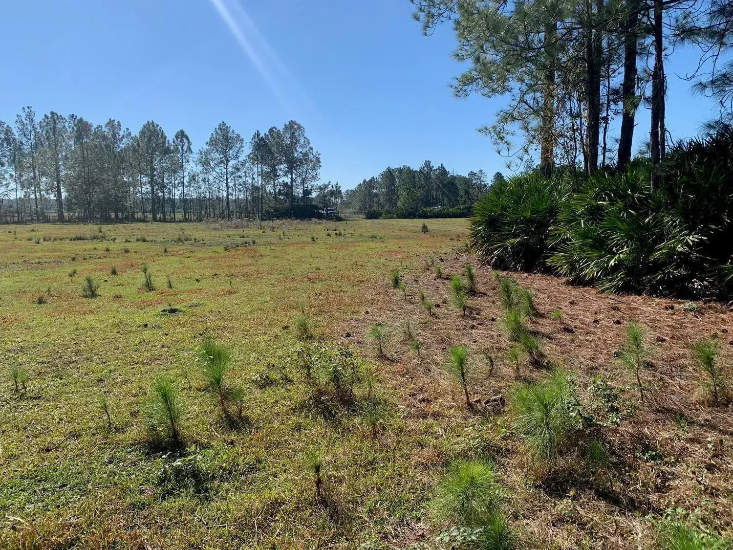 for sale at 0 Poyner Road, FL 33868