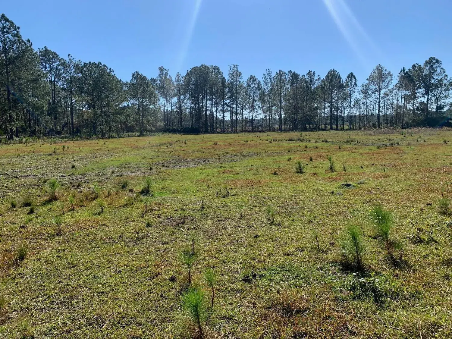 0 Poyner Road, FL 33868