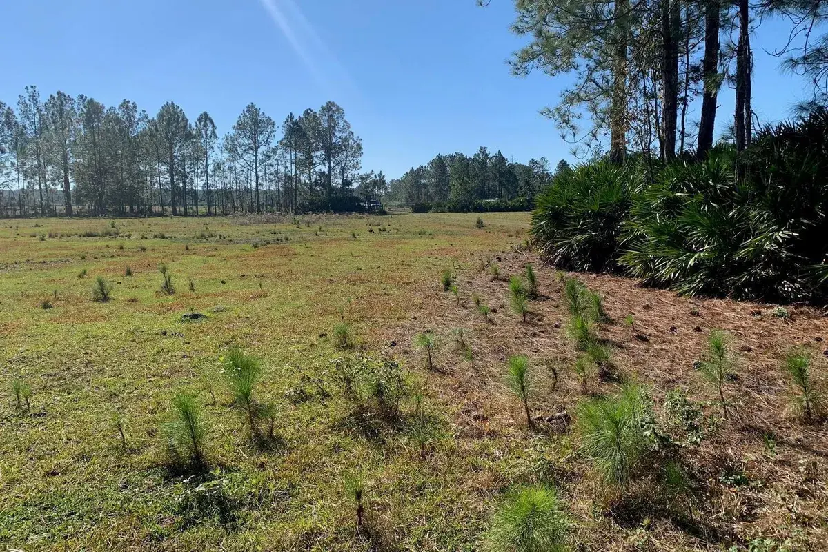 0 Poyner Road, FL 33868