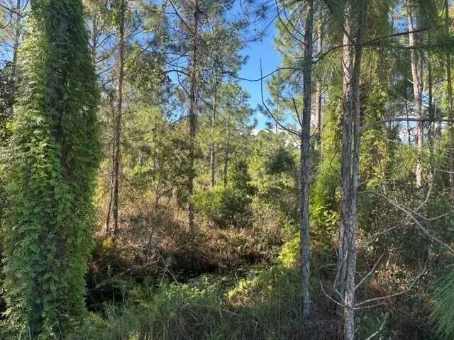 0 FL-60, Lake Wales FL 33853