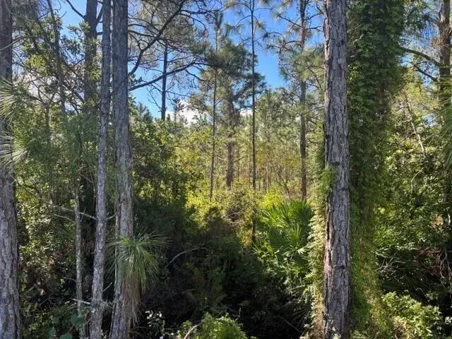 0 FL-60, Lake Wales FL 33853