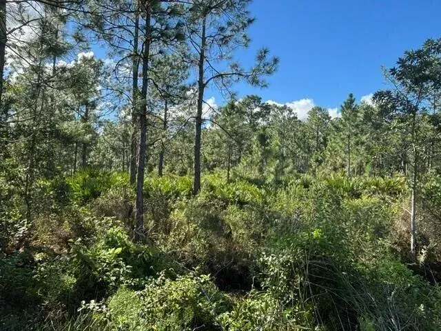 0 FL-60, Lake Wales FL 33853