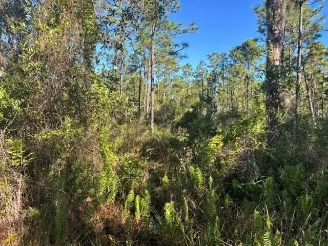 for sale at 0 FL-60, Lake Wales FL 33853