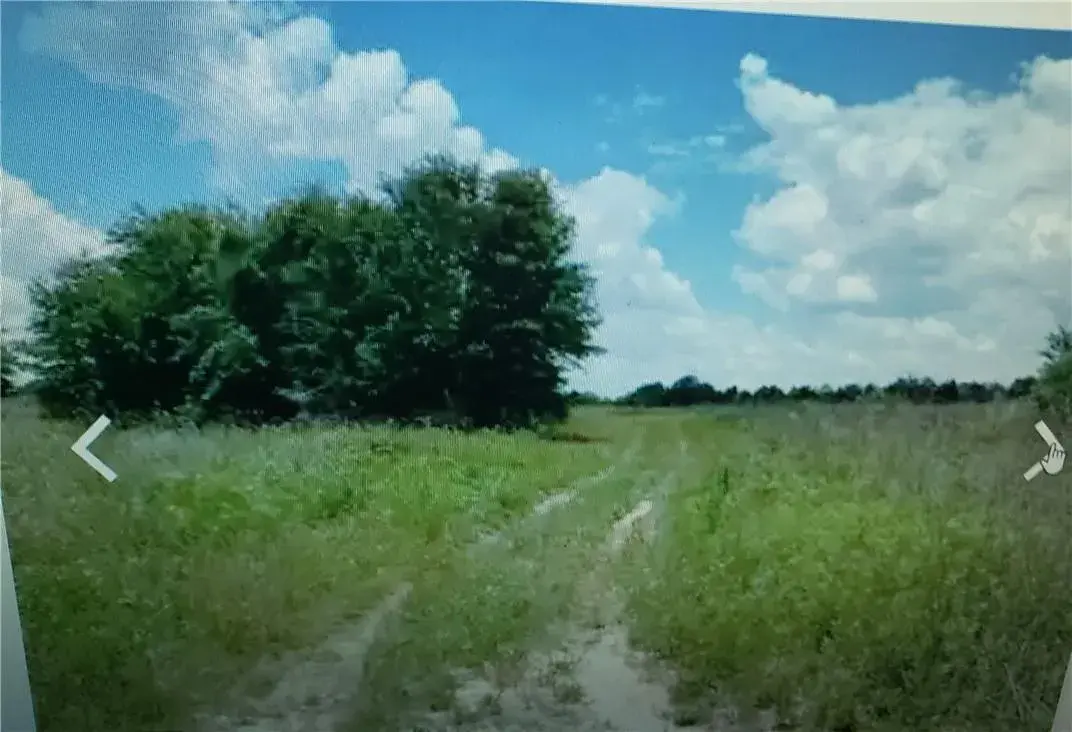 Lot D6 Palm Circle, FL 32008