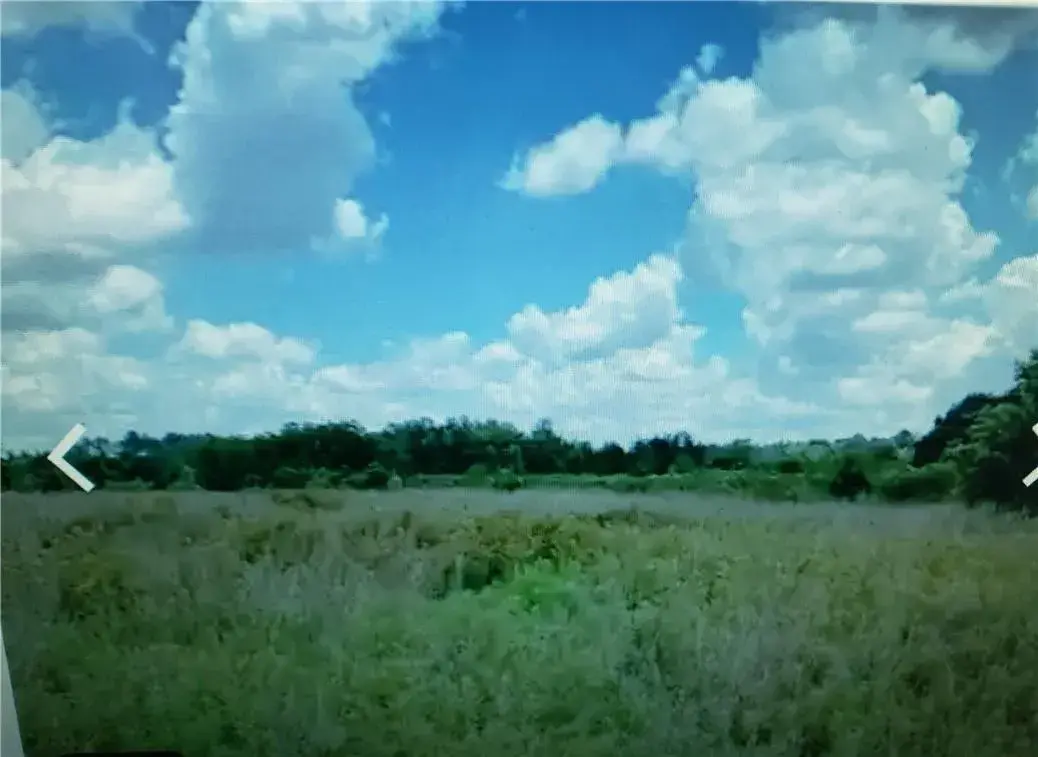 Lot D6 Palm Circle, FL 32008