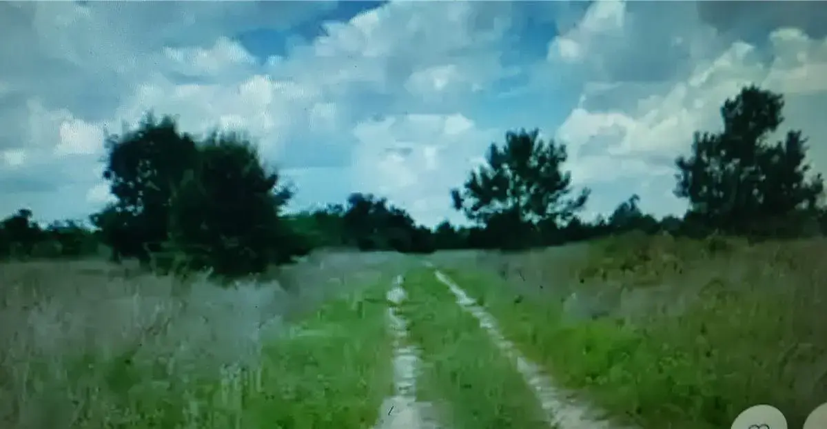 Lot D6 Palm Circle, FL 32008