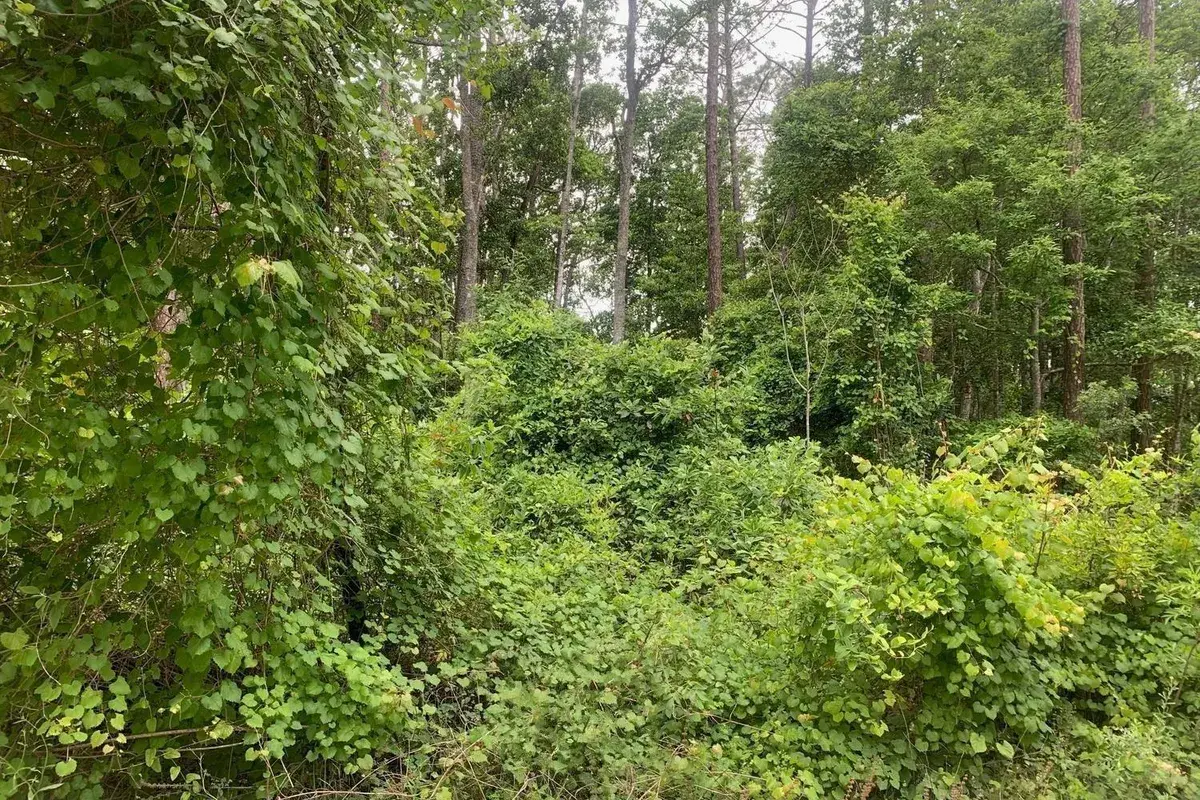 123 Coot Road, FL 32189