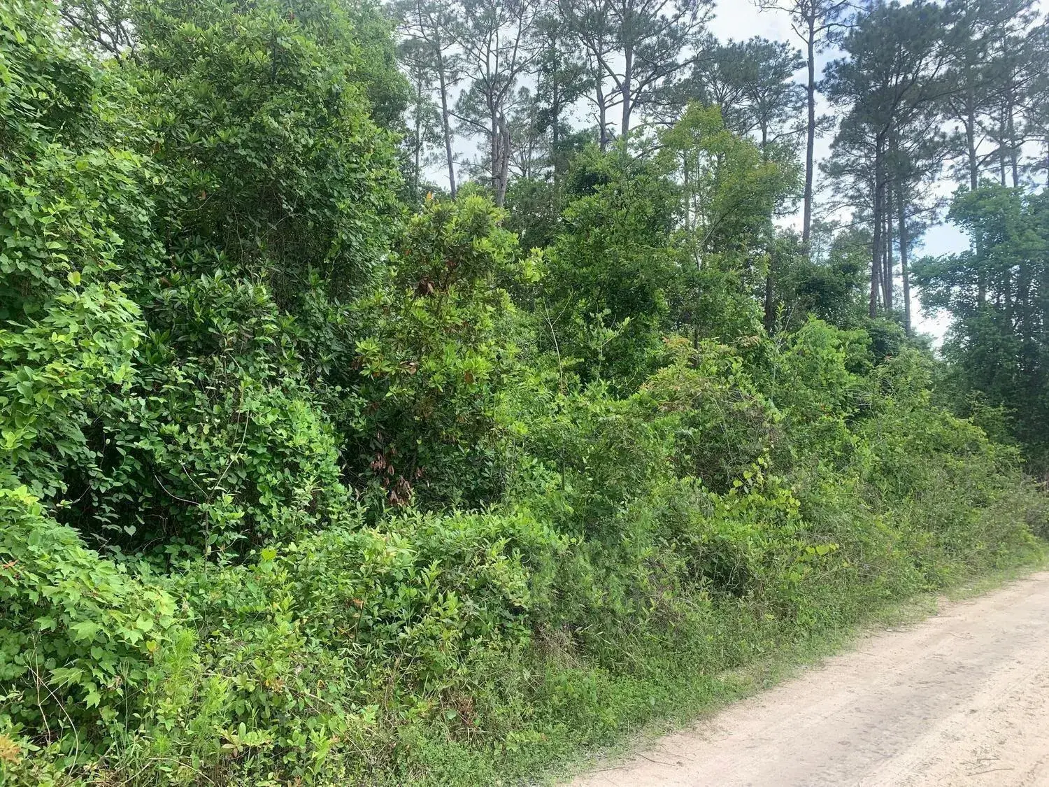Land/Boat Docks for sale at 0 Coot Drive, FL 32189