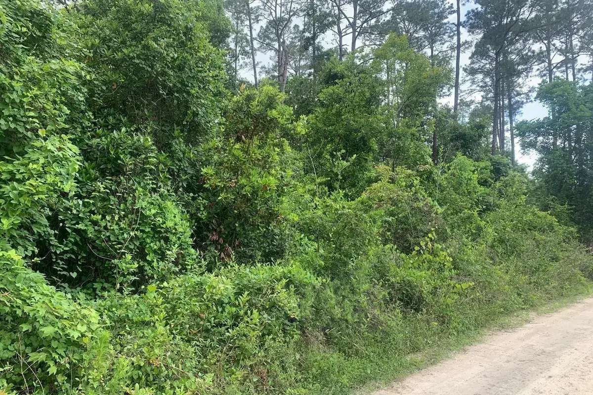 0 Coot Drive, FL 32189