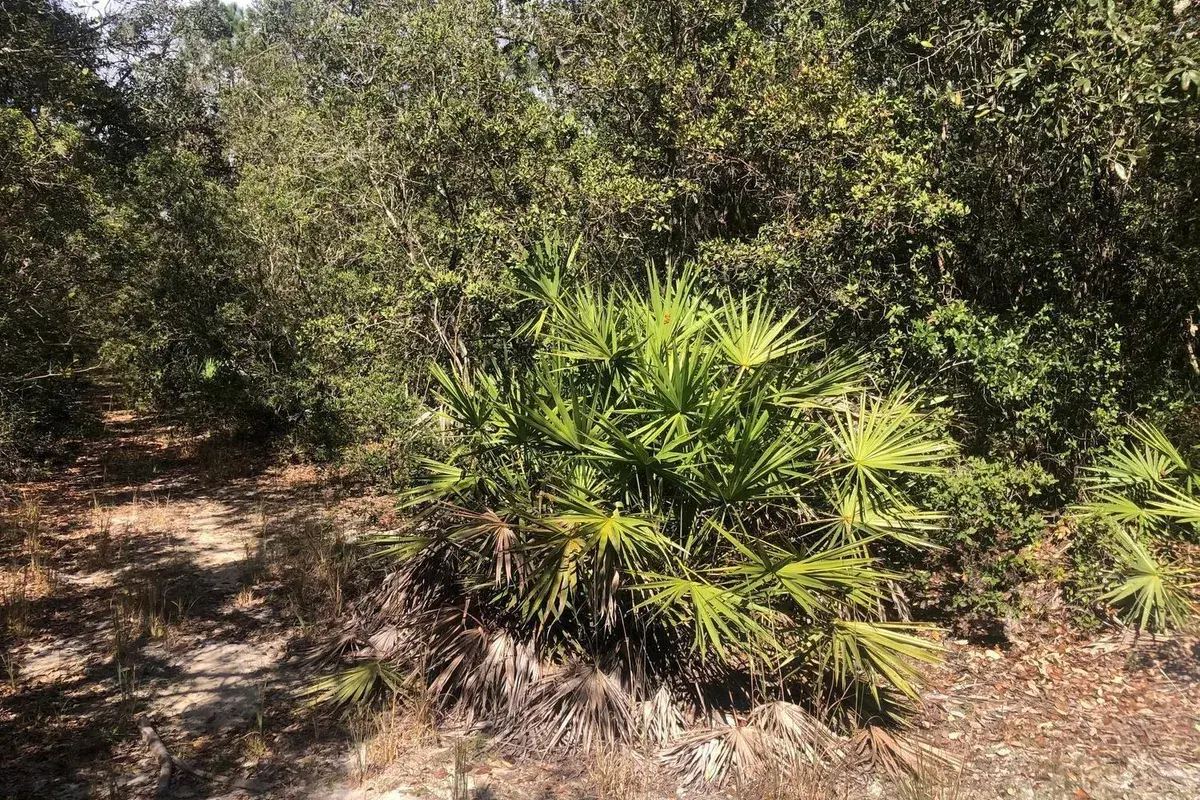 0 Oregon Street, FL 32148