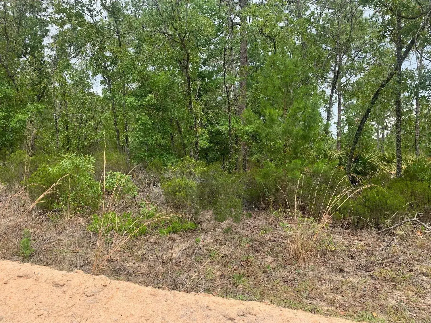Land/Boat Docks for sale at 0 Miami Street, FL 32148
