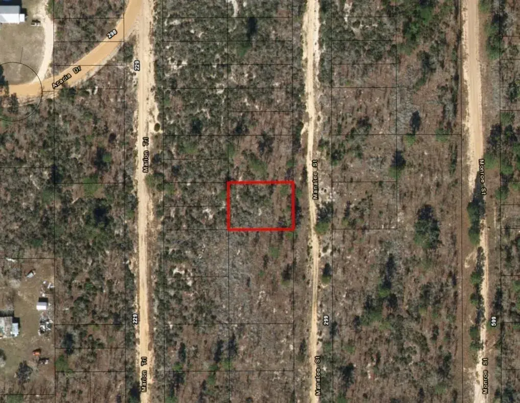 0 Manatee Street, FL 32148