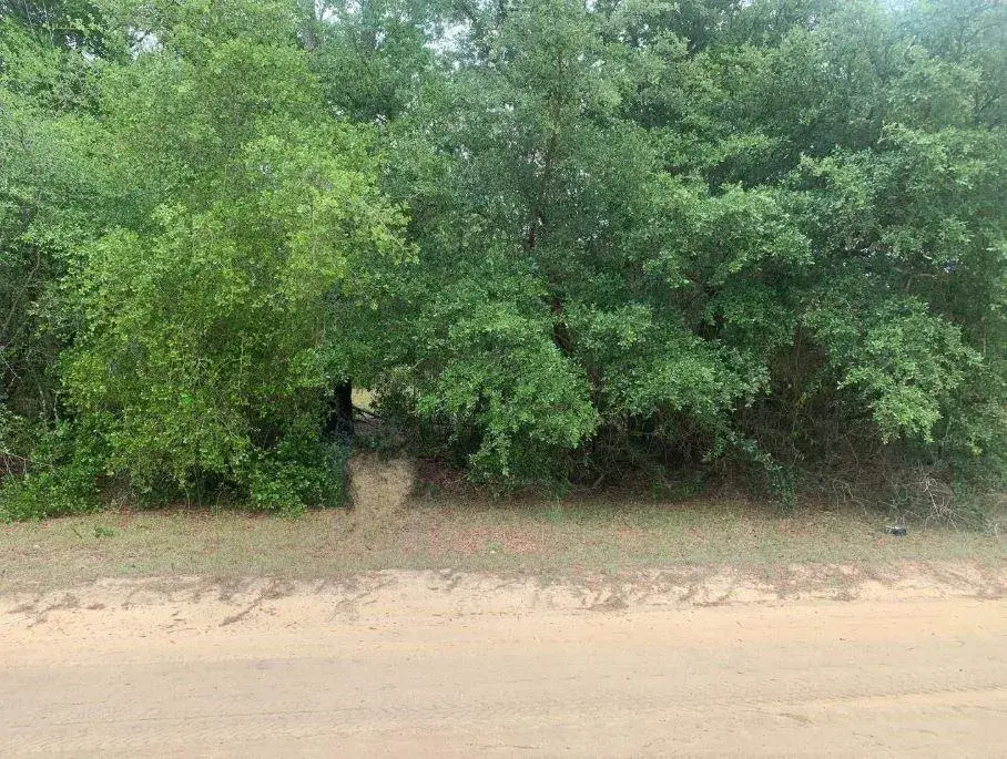 Land/Boat Docks for sale at 110 Brown Street, FL 32148