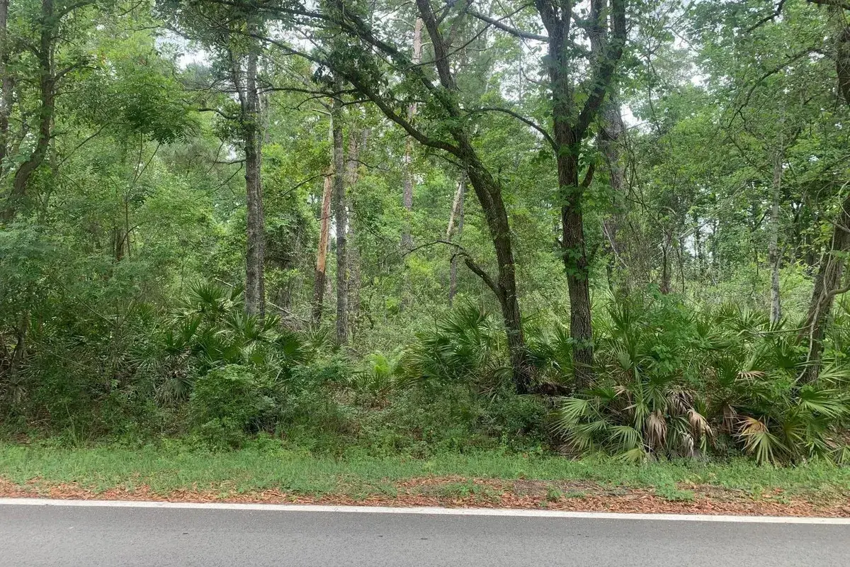 0 Theresa Avenue, FL 32148