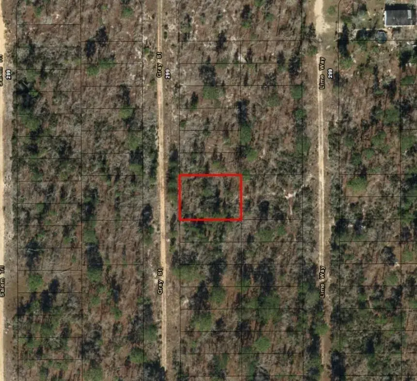 0 Gray Street, FL 32148