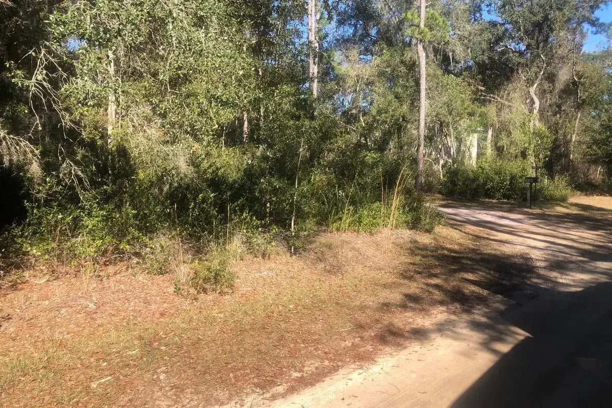0 Lakeshore Terrace, FL 32148