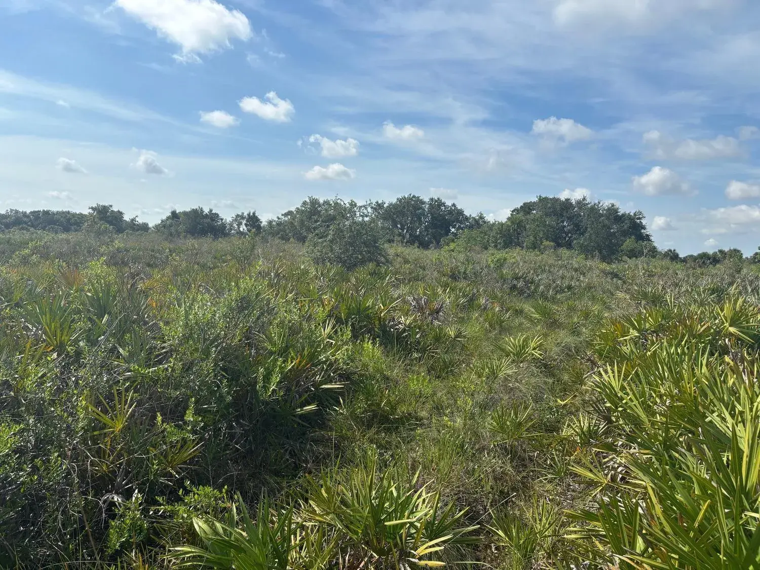 Commercial Land for sale at 0 NW 310th Street, Okeechobee FL 34972