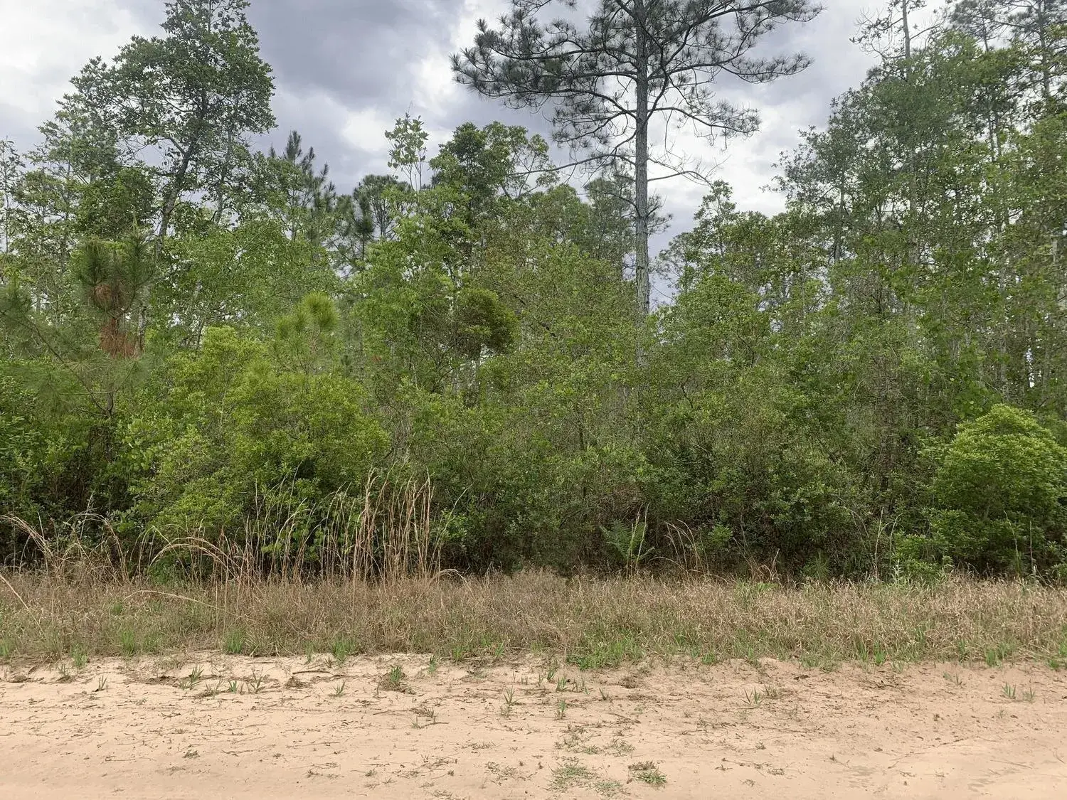 Land/Boat Docks for sale at 0 W Basford Street, FL 32148