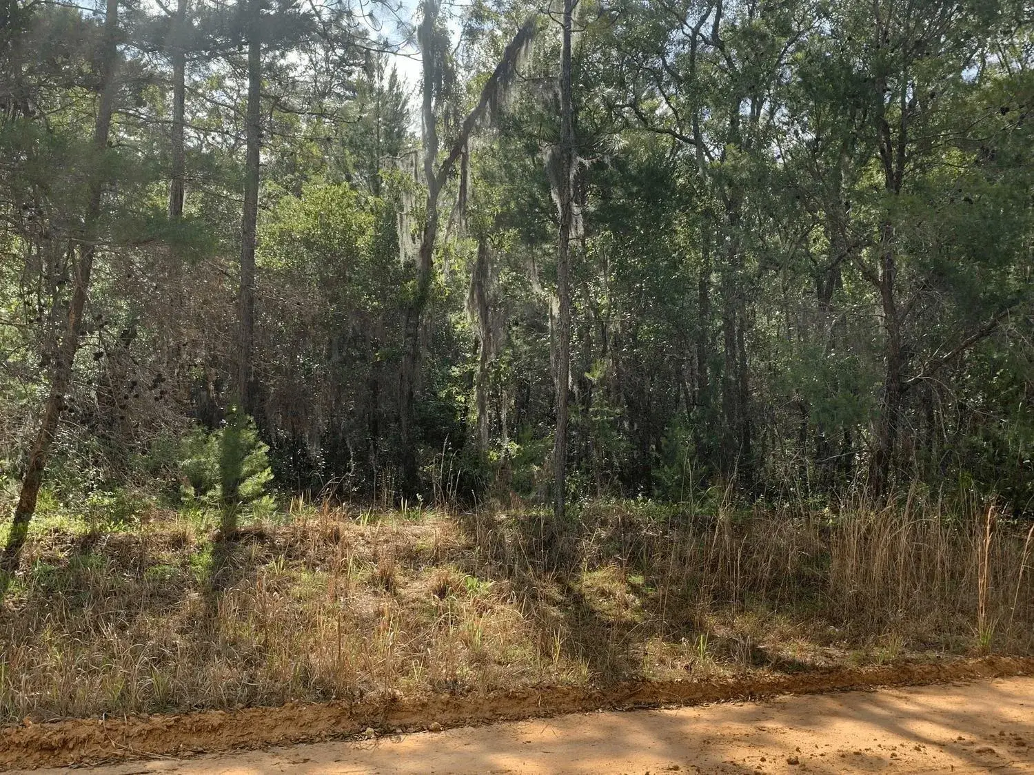 Land/Boat Docks for sale at 0 Shappell Avenue, FL 32148