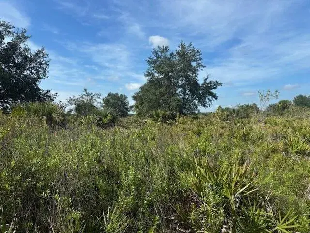 Commercial Land for sale at 0 NW 306th Street, Okeechobee FL 34972