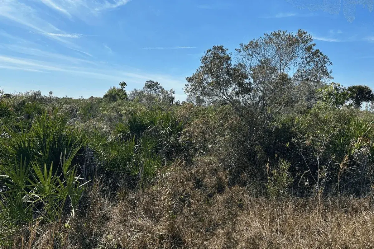0 NW 308th Street, Okeechobee FL 34972