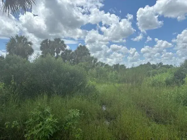 0 NW 316th Street, Okeechobee FL 34972