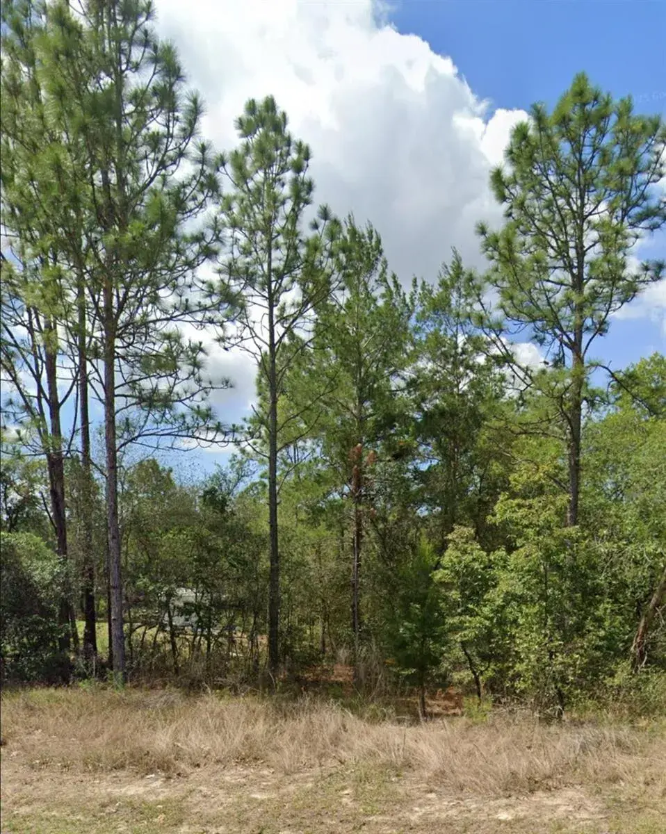3808 W Indian Rock Place, FL 34433
