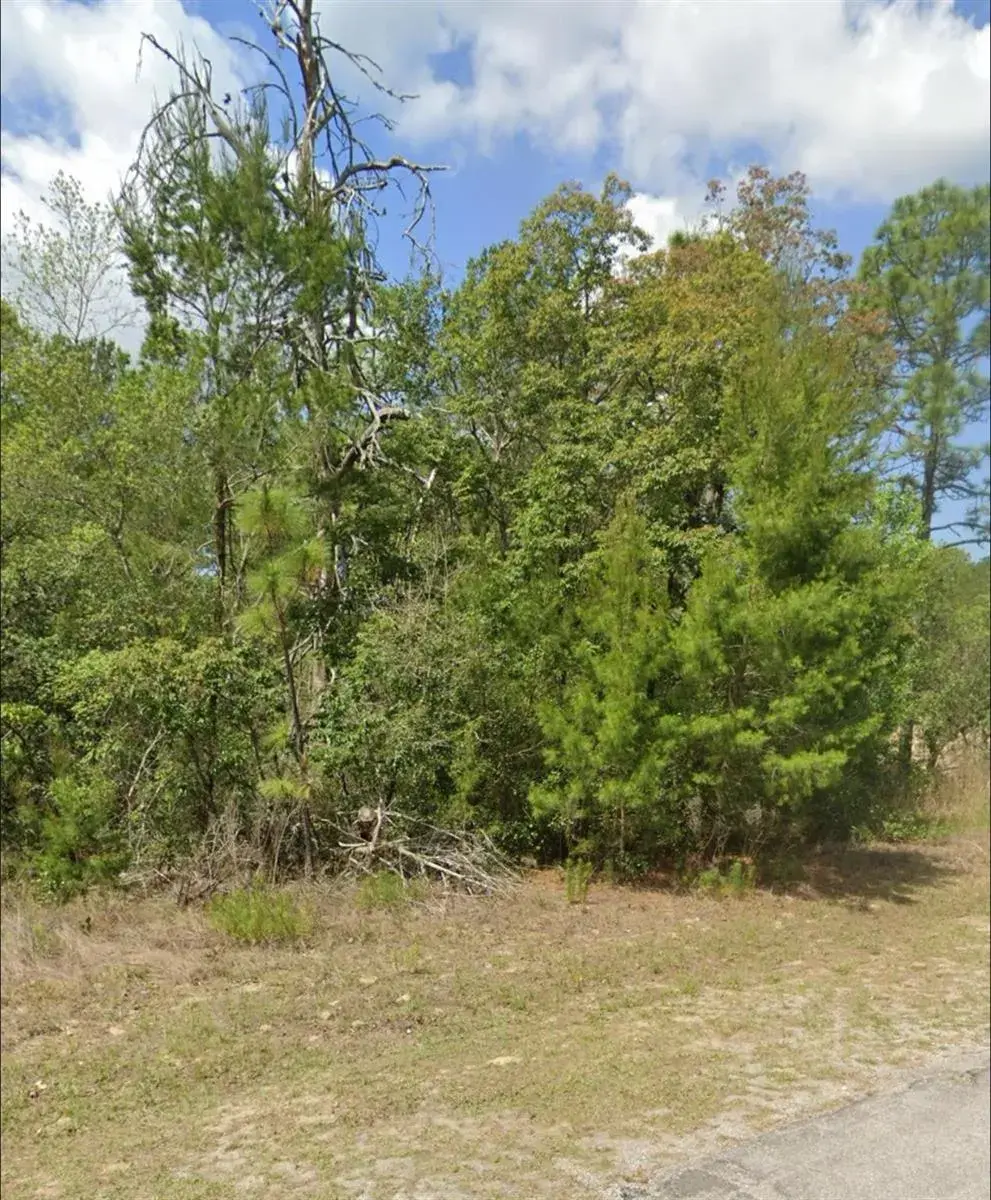 3808 W Indian Rock Place, FL 34433