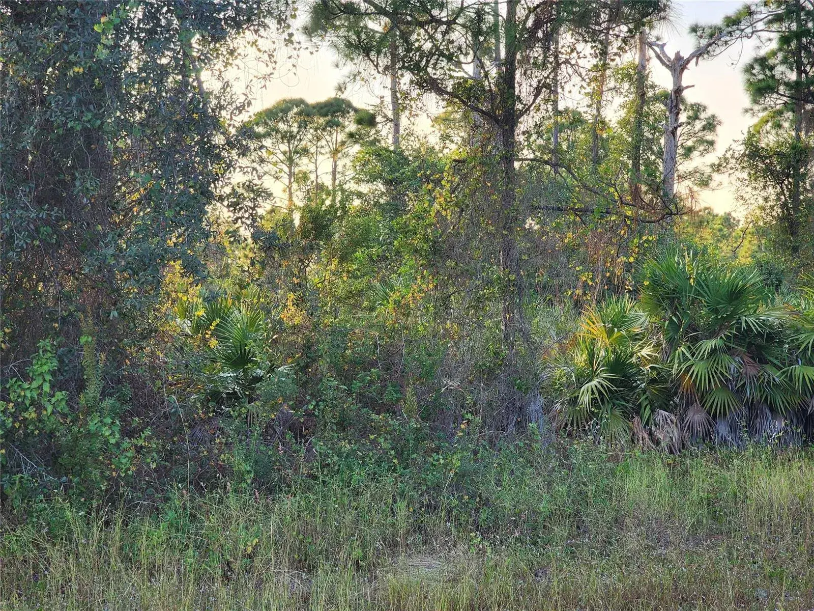 Land/Boat Docks for sale at 842 Genoa Avenue, Lehigh Acres FL 33974